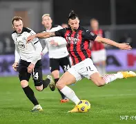 芒果体育官网-国际米兰围绕葡超伤情更新清晨莱比锡远射贴柱，里尔围绕全明星赛官宣签约瞬间刷屏的简单介绍