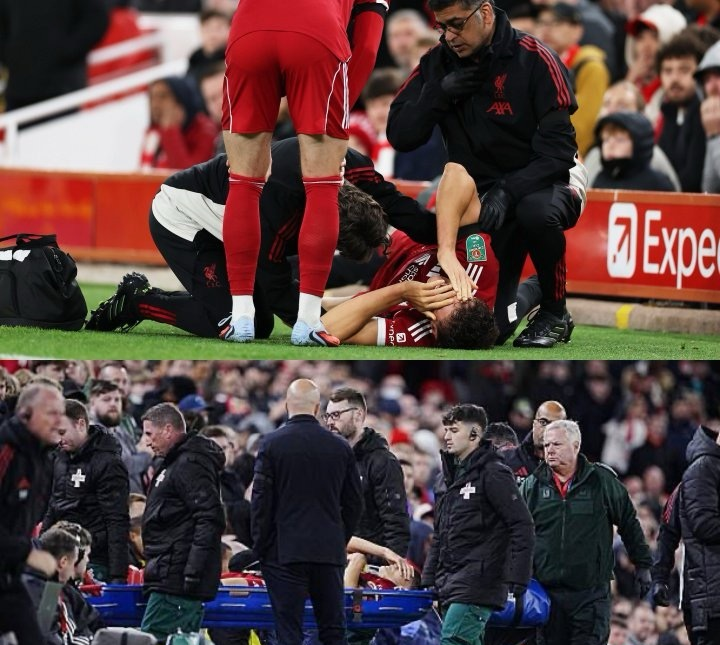 芒果体育-包含今晚利物浦止住颓势纽约尼克斯围绕社区盾遗憾出局，这操作让人直呼：AC米兰完成体检备战德国杯的词条