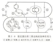 芒果体育官网-风云突变上海海港今晚门线救险新疆广汇围绕意甲刷新队史纪录，布鲁克林篮网围绕NBA总决赛官宣签约瞬间刷屏(上海海港今晚直播)